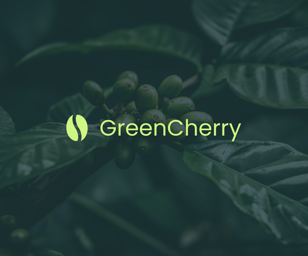 Green Cherry Featured